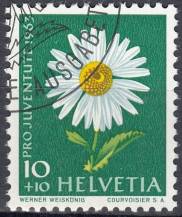 1963, Švýcarsko, 0787x, Pro Juventute: Zahradní květiny - Chrysanthemum maximus ⊙