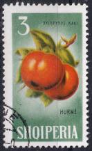 1965, Albánie, 0914, Ovoce: Diospyros kaki ⊙