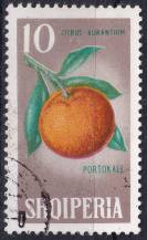 1965, Albánie, 0917, Ovoce: Citrus sinensis ⊙