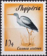1965, Albánie, 0973, Stěhovaví ptáci: Ciconia ciconia ✶✶
