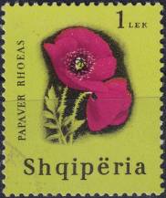 1965, Albánie, 0993, Květiny: Papaver rhoeas ⊙