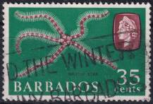 1965, Barbados, 0245X, Výplatní: Mořská zvířata - hvězdice ⊙