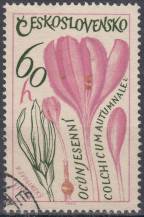 1965, ČSR II, 1490, Léčivé rostliny: Ocún jesenní, ⊙