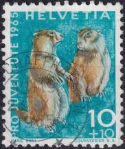 1965, Švýcarsko, 0827, "Pro Juventute": Divoká zvířata - Marmota marmota ⊙