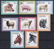 1966, Albánie, 1028/1035, Domácí zvířata  ⊙