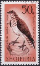 1966, Albánie, 1128, Draví ptáci: Pandion haliaëtus ⊙