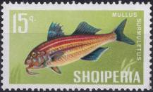 1967, Albánie, 1132, Ryby: Mullus sumuletus ✶✶