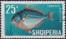 1967, Albánie, 1133, Ryby: Lampris guttulatus ⊙
