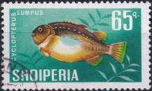 1967, Albánie, 1135, Ryby: Cyclopterus lumpus ⊙
