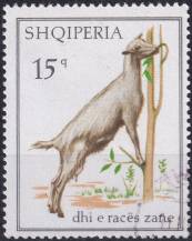 1968, Albánie, 1256, Domácí kozy ⊙