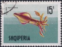 1968, Albánie, 1299, Mořská zvířata: Loligo vulgaris ⊙