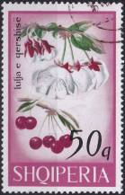 1969, Albánie, 1365, Květy stromů: Prunus cerasius ⊙