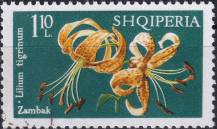 1970, Albánie, 1409, Lilie: Lilium tigrinum ⊙