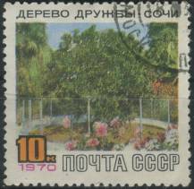 1970, SSSR, 3742, Strom přátelství v Soči ⊙
