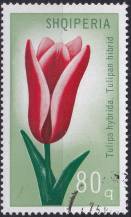 1971, Albánie, 1477, Tulipány ⊙