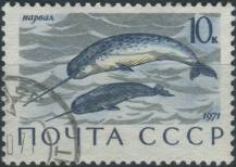1971, SSSR, 3915, Mořští savci: Monodon monoceros ⊙