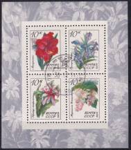 1971, SSSR, A073, Tropické a subtropické rostliny (II)    ⊙