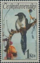 1972, ČSR II, 2000, Ptactvo: Straka obecná ∗∗
