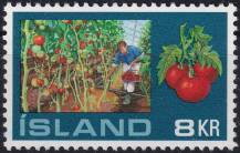 1972, Island, 0465, Skleníková vyspělost: Rajčata ✶✶ 