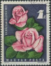 1972, Maďarsko, 2768A, 15. Národní výstava růží ⊙