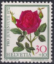 1972, Švýcarsko, 0986, „Pro Juventute“: Růže (I) - Rosa Papa Meilland ✶✶