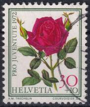 1972, Švýcarsko, 0986, „Pro Juventute“: Růže - Rosa Papa Meilland ⊙
