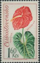 1973, ČSR II, 2038, Flóra Olomouc: Toulitka ∗∗