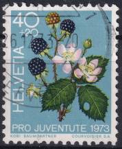 1973, Švýcarsko, 1015, „Pro Juventute“: Lesní plody - Rubus sp. ⊙