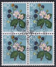 1973, Švýcarsko, 1015, "Pro Juventute": Lesní plody - Rubus sp. ⊙ ⊞