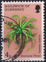 1975, Guernsey, 0115, Kapradiny: Isoetes hystrix ⊙ 