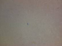 1977, ČSR II, A2273A01, Za Evropu míru, spolupráce a společenského pokroku: Za Evropu míru ∗∗