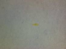 1977, ČSR II, A2273A09, Za Evropu míru, spolupráce a společenského pokroku: Za Evropu míru ∗∗