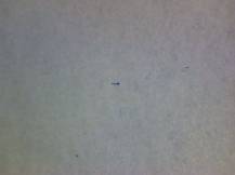 1977, ČSR II, A2274A02, Za Evropu míru, spolupráce a společenského pokroku: Za Evropu spolupráce ∗∗