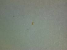 1977, ČSR II, A2274A12, Za Evropu míru, spolupráce a společenského pokroku: Za Evropu spolupráce ∗∗