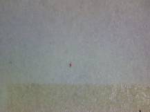 1977, ČSR II, A2275A03, Za Evropu míru, spolupráce a společenského pokroku: Za Evropu společenského pokroku ∗∗