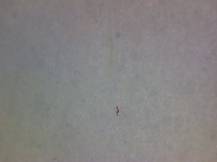 1977, ČSR II, A2275A04, Za Evropu míru, spolupráce a společenského pokroku: Za Evropu společenského pokroku ∗∗