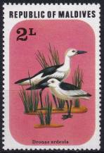 1977, Maledivy, 0712, Ptáci: Dromas ardeola ✶✶