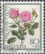 1977, Švýcarsko, 1115, Pro Juventute: Růže ⊙