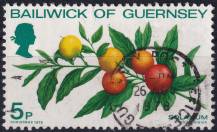 1978, Guernsey, 0169, Vánoce: Solanum ⊙ 