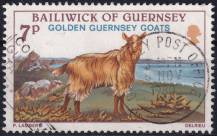 1980, Guernsey, 0209, Guersejské kozy  ⊙