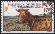 1980, Guernsey, 0210, Guernsejské kozy  ⊙