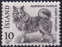 1980, Island, 0550, Výplatní známka: Domácí fauna - Canis familiaris ⊙