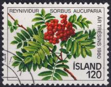 1980, Island, 0554, Rok stromů ⊙