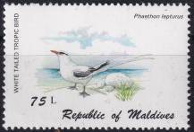 1980, Maledivy, 0883, Mořští ptáci: Phaethon lepturus ✶✶