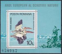 1980, Rumunsko, A167, Letecký: Evropský rok ochrany přírody - Pelecanus onocrotalus  ✶✶