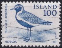 1981, Island, 0568, Výplatní známka: Domácí fauna - Pluvialis apricaria ⊙