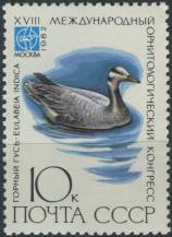 1982, SSSR, 5184, Mezinárodní konference ornitologů, Moskva: Anser indicus ∗∗