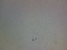 1983, ČSR II, A2604D, IX. BIB 1983 ∗∗