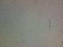 1983, ČSR II, A2604G, IX. BIB 1983 ∗∗