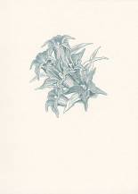 1983, ČSR II, SU021a, Suvenýr ankety MF (21. ročník)